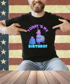 Todays My Birthday Llama Boy Family Party Decorations Tshirt T-Shirt