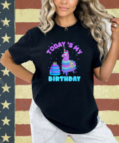 Todays My Birthday Llama Boy Family Party Decorations Tshirt T-Shirt