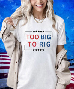 Too Big To Rig Trump 2024