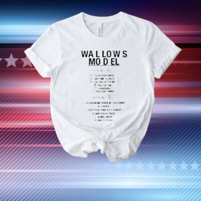 Wallowsmodel I Heard Model By Wallows On May 21, 2024 T-shirt