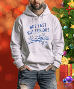 Not fast not furious sloth Tee Shirt