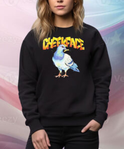 Cheekface US Canada Tour 2025 Pigeon Tee Shirt