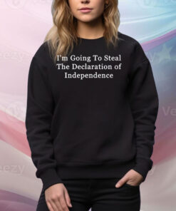 I’m Going To Steal The Declaration Of Independence Tee Shirt