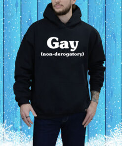 Macdoesit Wearing Gay Non-Derogatory Tee Shirt