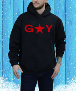 Reneé Rapp Gay New Tee Shirt