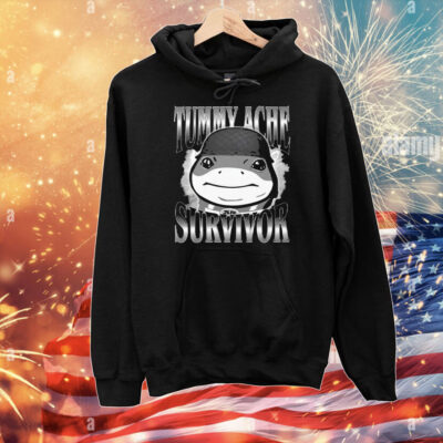 Tummy Ache Survivor Jeff the Land Shark Helmet Meme T-Shirt