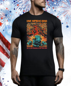 Dave Matthews Band Tour Noblesville, Indiana July 11 & 12 2025 Buffalo Tee Shirt