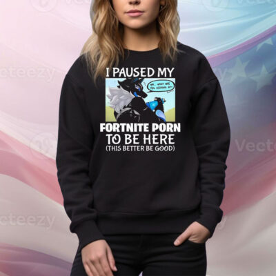 I Paused My Fortnite Porn To Be Here This Better Be Good Tee Shirt