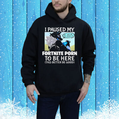 I Paused My Fortnite Porn To Be Here This Better Be Good Tee Shirt