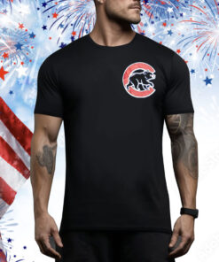 Vintage Chicago Cubs Jersey 42-44 Tee Shirt