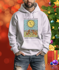 You Call It Psychosis I Call It Divine Intervention Tee Shirt