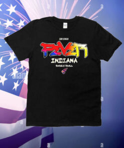 Indiana Fever basketball est 2000 vintage T-Shirt