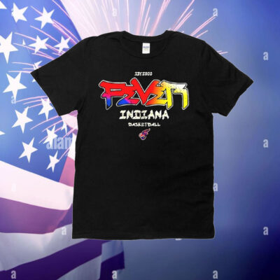 Indiana Fever basketball est 2000 vintage T-Shirt