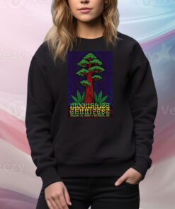 Moonalice At Cannifest On Aug 31 2025 Tree Tee Shirt