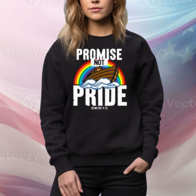 Rainbow Promise Not Pride Genesis 9 13 Tee Shirt