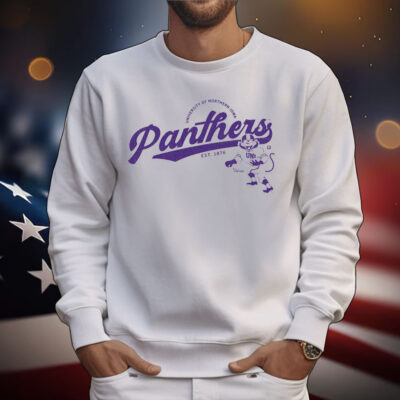 Panthers Script Logo Heavyweight T-Shirt