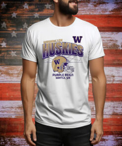 Washington Football Helmet Grid Tee Shirt